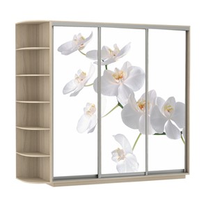 Шкаф 3-дверный Экспресс со стеллажом, 2100х600х2200, Орхидея белая/шимо светлый в Элисте