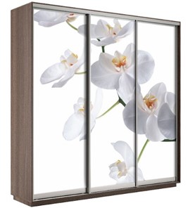 Шкаф 3-х дверный Экспресс 1800х600х2200, Орхидея бела/шимо темный в Элисте
