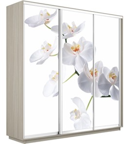 Шкаф 3-створчатый Экспресс 2400х600х2200, Орхидея белая/шимо светлый в Элисте