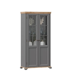 Шкаф двухстворчатый с стеклом Амели (Оникс серый) ЛД 642.890 в Элисте
