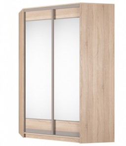 Угловой шкаф Аларти (YA-230х1400(602) (10) Вар. 1; двери D2+D2), с зеркалом в Элисте