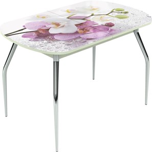 Кухонный раздвижной стол Ривьера исп.1 ноги метал. крашеные №24 Фотопечать (Цветы №44) в Элисте