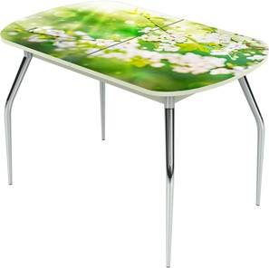 Кухонный стол раскладной Ривьера исп.1 ноги метал. крашеные №24 Фотопечать (Цветы №45) в Элисте