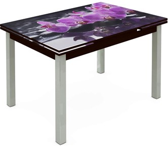 Кухонный стол раскладной Шанхай исп. 2, ноги метал. крашеные №21 Фотопечать (Цветы №30) в Элисте