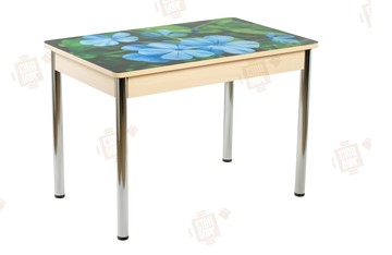 Кухонный стол раздвижной Айсберг-01 СТФ, дуб/фотопечать фиалка/ноги хром прямые круглые в Элисте