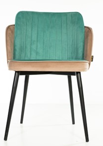 Мягкий стул Пенелопа коричневый/зеленый в Элисте
