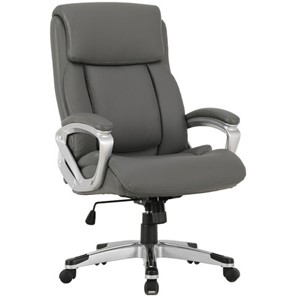 Кресло офисное Brabix Premium Level EX-527 (пружинный блок, рециклированная кожа, серое) в Элисте