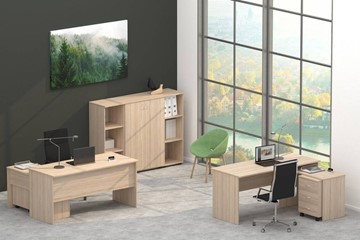 Набор мебели в офис Twin в Элисте - предосмотр 4