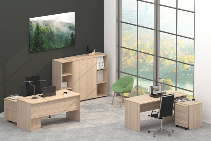 Набор мебели в офис Twin в Элисте - изображение 4