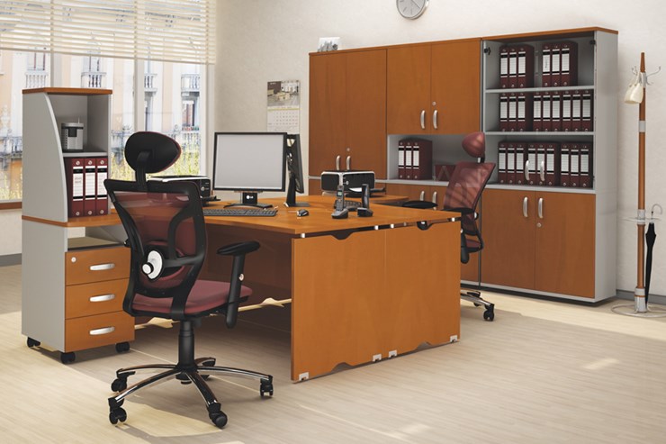 Офисный набор мебели Милан для 2 сотрудников с тумбочками и большим шкафом в Элисте - изображение
