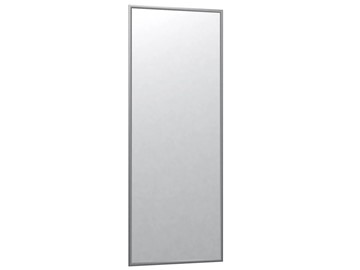 Зеркало навесное в гардероб Сельетта-6 матовое серебро (1100х400х9) в Элисте