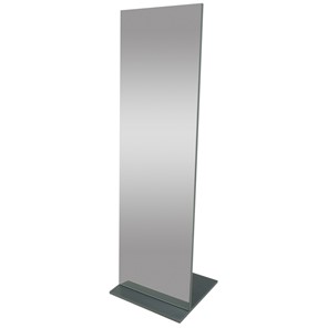 Зеркало напольное в гардероб Стелла (графит темный) 163,5 см x 50 см в Элисте