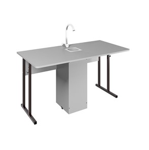Детский стол 2-местный для кабинета химии Стандарт 6, Пластик Серый/Коричневый в Элисте