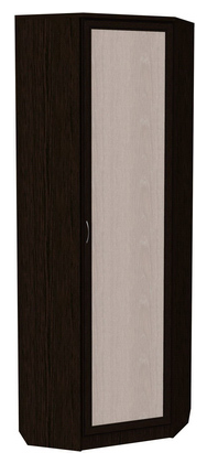 Шкаф распашной 402 угловой со штангой, цвет Венге в Элисте - изображение