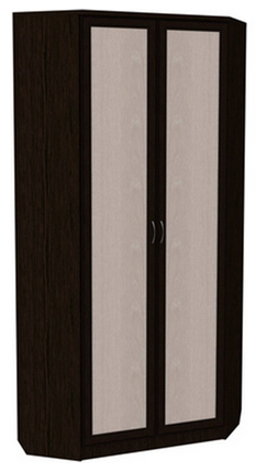 Шкаф распашной 401 угловой со штангой, цвет Венге в Элисте - изображение