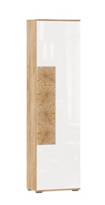 Шкаф одностворчатый Фиджи с декоративными накладками 659.300, Дуб Золотой/Белый в Элисте