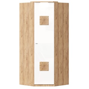 Шкаф угловой 45 с декоративной накладкой Фиджи, 659.248, белый в Элисте