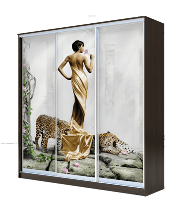 Шкаф 2300х2000х620, наполнение №2, Девушка с леопардом ХИТ 23-20-777-03 Венге Аруба в Элисте - изображение