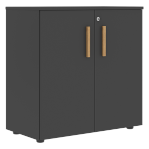 Низкий шкаф с малыми дверцами широкий FORTA Черный Графит FLC_80.1_Z__grafit.png FLC 80.1(Z) (798х404х801) в Элисте