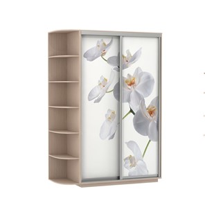 Шкаф 2-створчатый Экспресс 1500x600x2200, со стеллажом, Орхидея белая/дуб молочный в Элисте - предосмотр