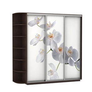 Шкаф Экспресс со стеллажом, 2100х600х2400, Орхидея белая/венге в Элисте