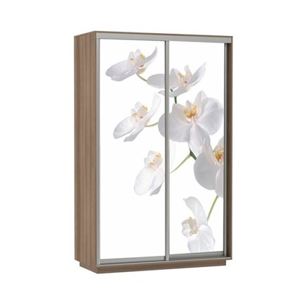 Шкаф Экспресс 1400x600x2400, Орхидея белая/шимо темный в Элисте - изображение