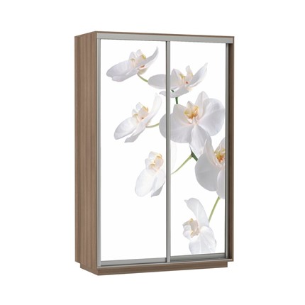 Шкаф Экспресс 1200x600x2200, Орхидея белая/шимо темный в Элисте - изображение