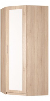 Шкаф распашной угловой Реал (YR-230х1034 (3)-М Вар.2), с зеркалом в Элисте - изображение