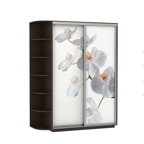 Шкаф 2-х створчатый Экспресс 1900x600x2200, со стеллажом, Орхидея белая/венге в Элисте - предосмотр