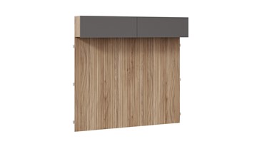 Шкаф настенный с декоративными панелями Порто (366) СМ-393.21.023-24 (Яблоня Беллуно/Графит софт) в Элисте