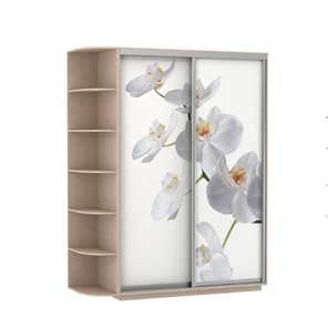 Шкаф Экспресс 1900x600x2200, со стеллажом, Орхидея белая/дуб молочный в Элисте