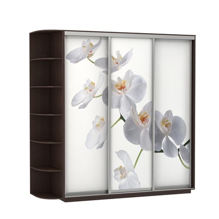 Шкаф 3-створчатый Экспресс со стеллажом, 2400х600х2200, Орхидея белая/венге в Элисте - изображение