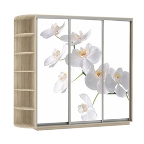 Шкаф 3-створчатый Экспресс со стеллажом, 2700х600х2200, Орхидея белая/дуб сонома в Элисте - предосмотр