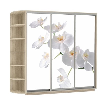 Шкаф 3-створчатый Экспресс со стеллажом, 2700х600х2200, Орхидея белая/дуб сонома в Элисте - изображение