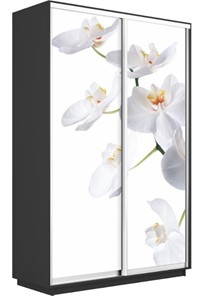 Шкаф 2-створчатый Экспресс 1200x450x2200, Орхидея белая/серый диамант в Элисте