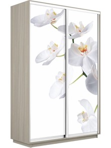 Шкаф 2-х створчатый Экспресс 1200x450x2400, Орхидея белая/шимо светлый в Элисте