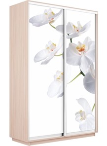 Шкаф 2-х створчатый Экспресс 1200x600x2200, Орхидея белая/дуб молочный в Элисте