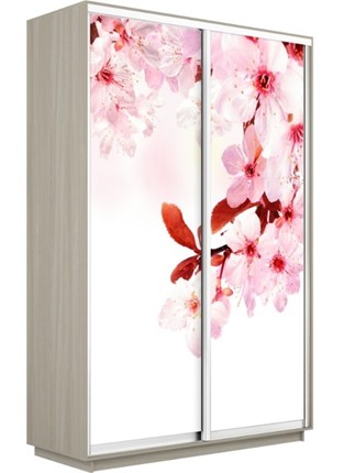Шкаф 2-дверный Экспресс 1200x600x2200, Сакура/шимо светлый в Элисте - изображение