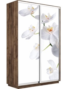 Шкаф двухдверный Экспресс 1400x600x2400, Орхидея белая/дуб табачный в Элисте - предосмотр