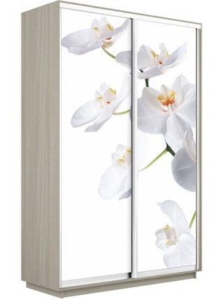 Шкаф-купе 2-х дверный Экспресс 1400x600x2400, Орхидея белая/шимо светлый в Элисте - изображение