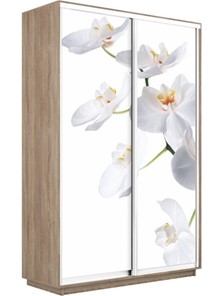 Шкаф Экспресс 1600x450x2400, Орхидея белая/дуб сонома в Элисте