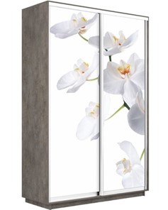 Шкаф-купе двухдверный Экспресс 1600x600x2400, Орхидея белая/бетон в Элисте