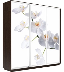 Шкаф 3-дверный Экспресс 1800х450х2400, Орхидея белая/венге в Элисте
