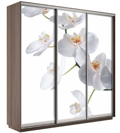 Шкаф 3-х дверный Экспресс 1800х600х2200, Орхидея бела/шимо темный в Элисте - изображение