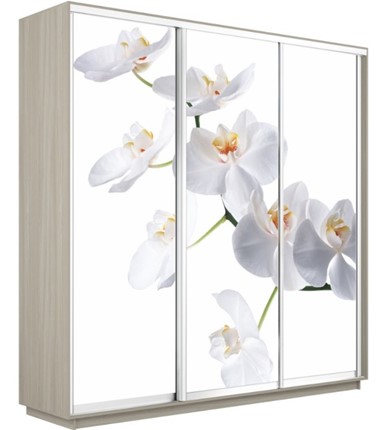Шкаф 3-х створчатый Экспресс 1800х600х2400, Орхидея белая/шимо светлый в Элисте - изображение