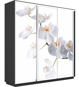 Шкаф 3-дверный Экспресс 2100х450х2200, Орхидея белая/серый диамант в Элисте