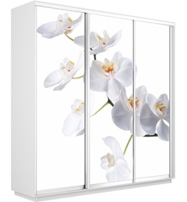 Шкаф 3-х створчатый Экспресс 2400х450х2400, Орхидея белая/белый снег в Элисте - предосмотр