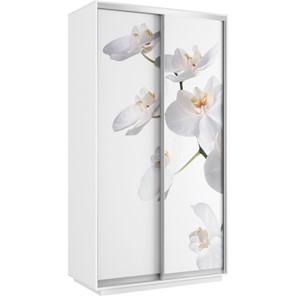 Шкаф 2-х створчатый Хит 1200x600x2200, белая орхидея, белый снег в Элисте
