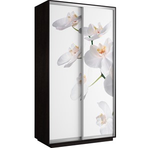 Шкаф 2-х створчатый Хит 1200x600x2200, белая орхидея, венге в Элисте - предосмотр