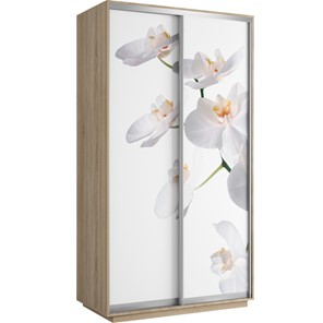 Шкаф 2-створчатый Хит 1200x600x2200, белая орхидея, ясень шимо светлый в Элисте